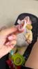 Customer review photo 16