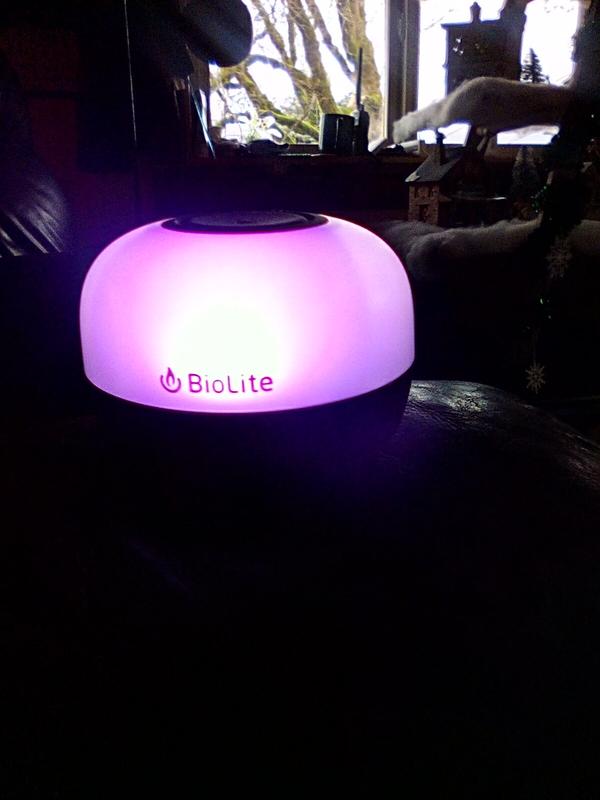 Photo submitted with review of product