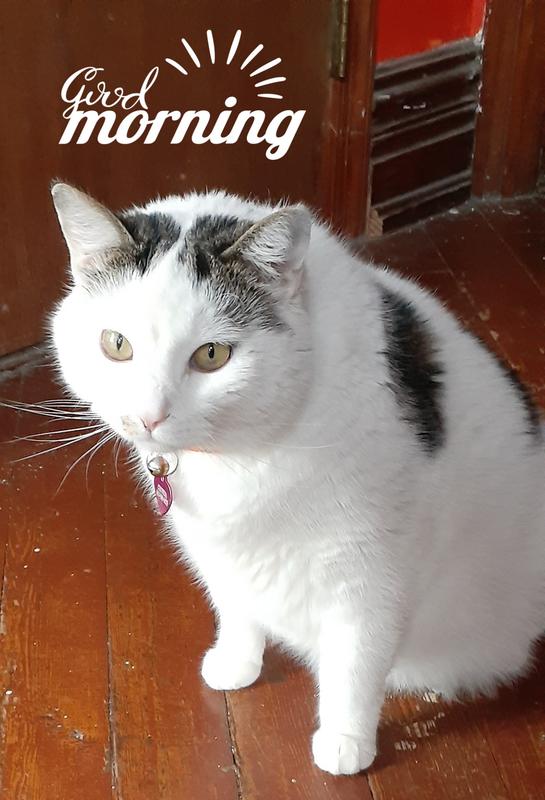 His eyes looking great just after a sick spell. Unusual for him but very welcomed!