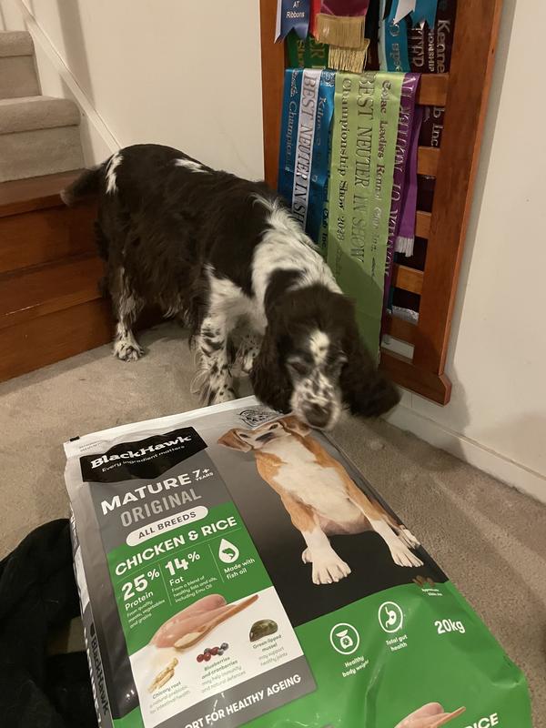 Blackhawk Best Large Breed Puppy Food 2018 Shop BlackHawk Large Breed Puppy Chicken Rice The Vet Shed main image 2