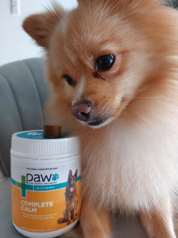 PAW by Blackmores Complete Calm