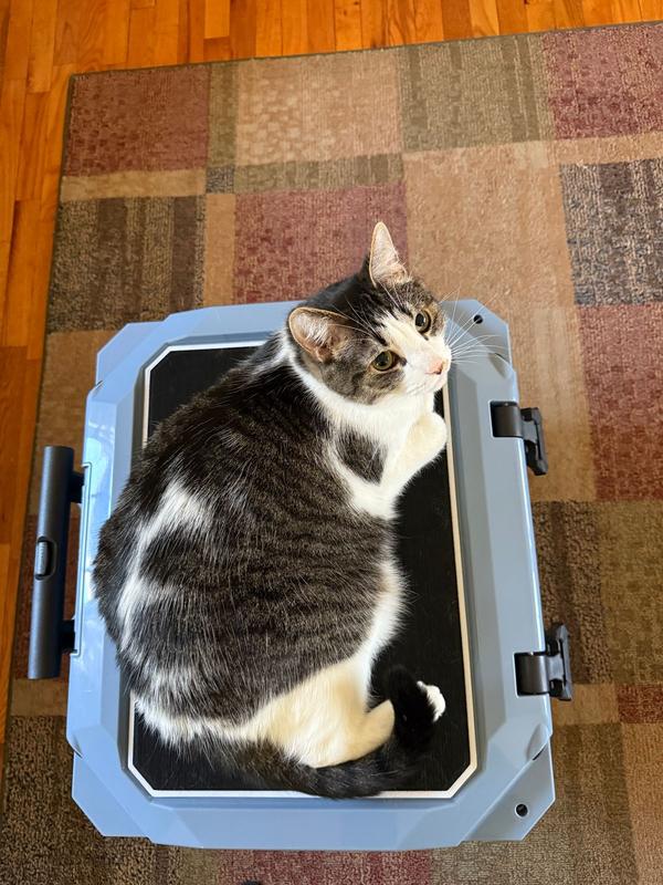 Photo submitted with review of product