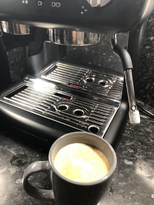 How To Flush The Breville Barista Pro Simple Guide