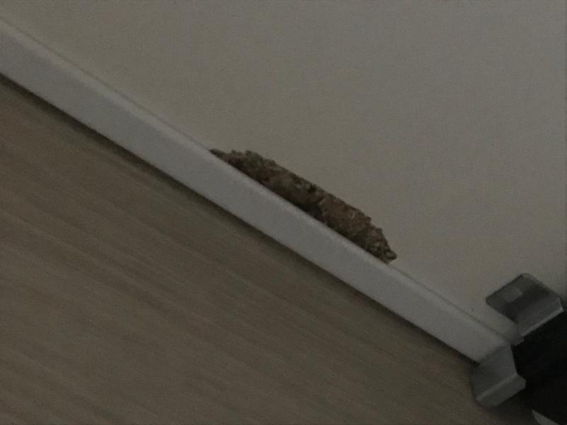 Ouvrir la fenêtre modale de l'avis 2 sur 2