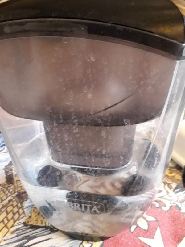 Recensione Brita Elemaris XL