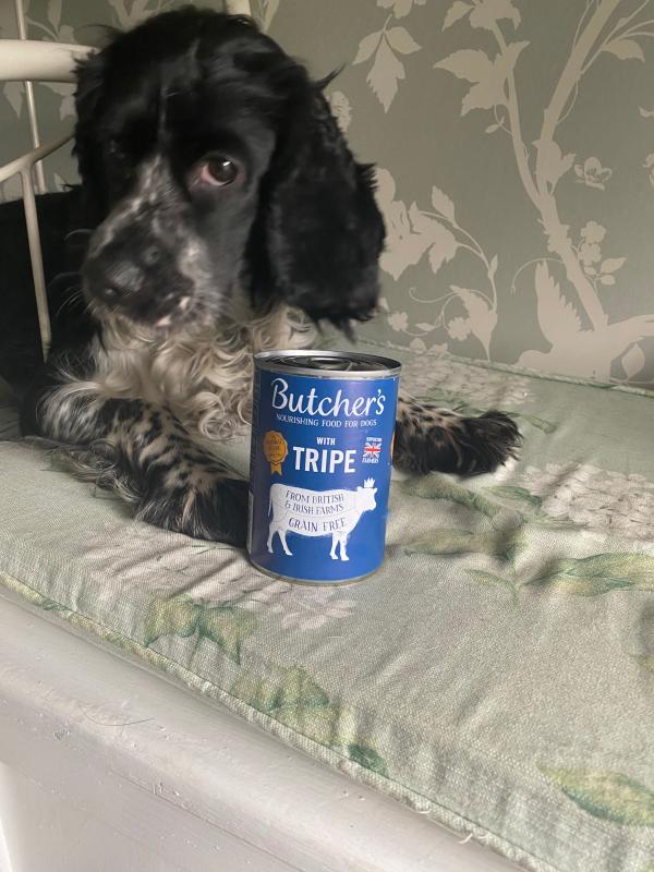 Butchers tripe canned dog 2024 food