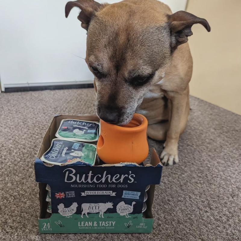 Lean and tasty dog food hot sale