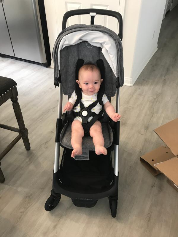 Bugaboo ant cheap for newborn