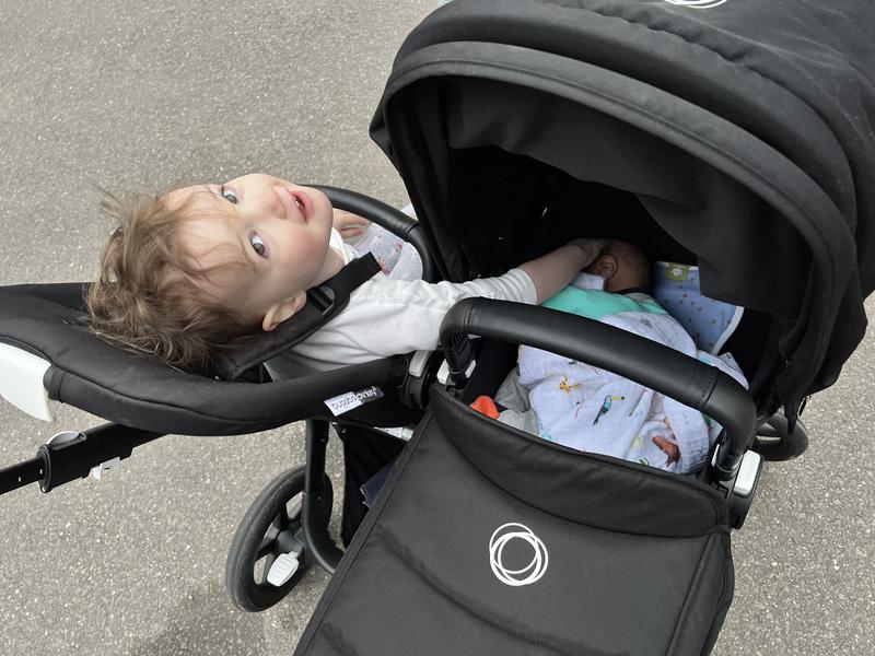 Bugaboo donkey best sale 2 reviews