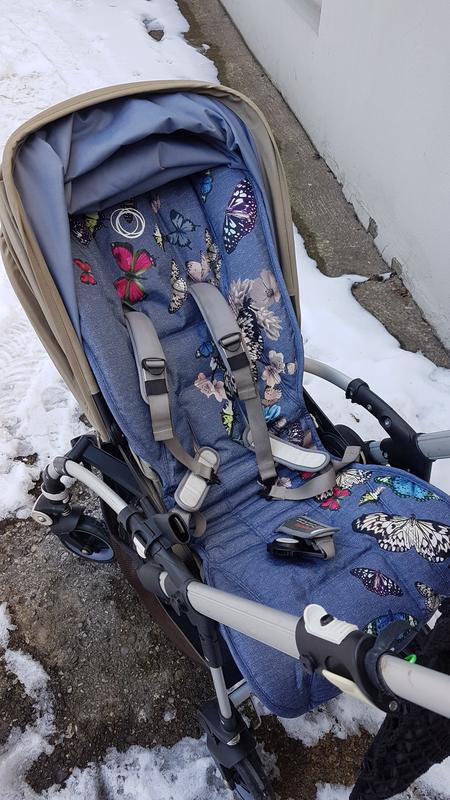 Bugaboo bee 5 special hot sale edition