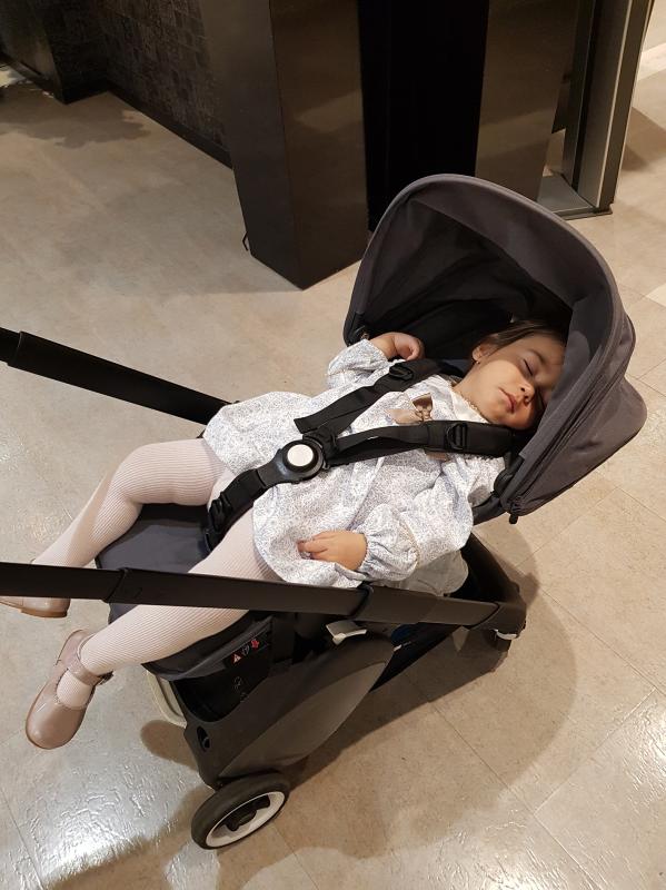 Bugaboo store ant newborn