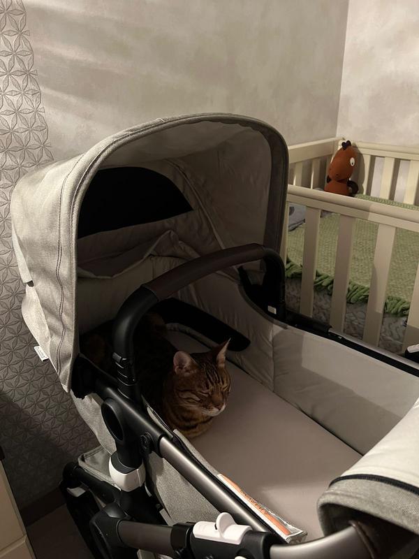 Bugaboo Fox 3 Mineral Collection bassinet and seat stroller Mineral collection washed black sun canopy, mineral collection washed black fabrics, black chassis | Bugaboo Bugaboo Fox 3 Mineral Collection bassinet and seat stroller Mineral collection washed black sun canopy, mineral collection washed black fabrics, black chassis | Bugaboo