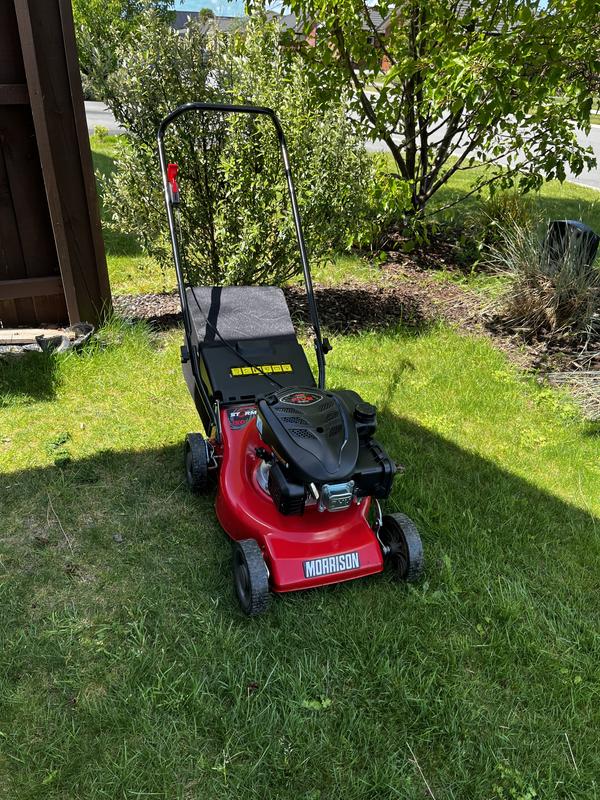 Morrison 123cc 420mm Storm 150 Mower Bunnings New Zealand