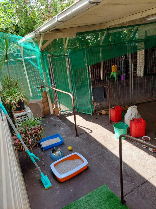 Bunnings pet outlet enclosure