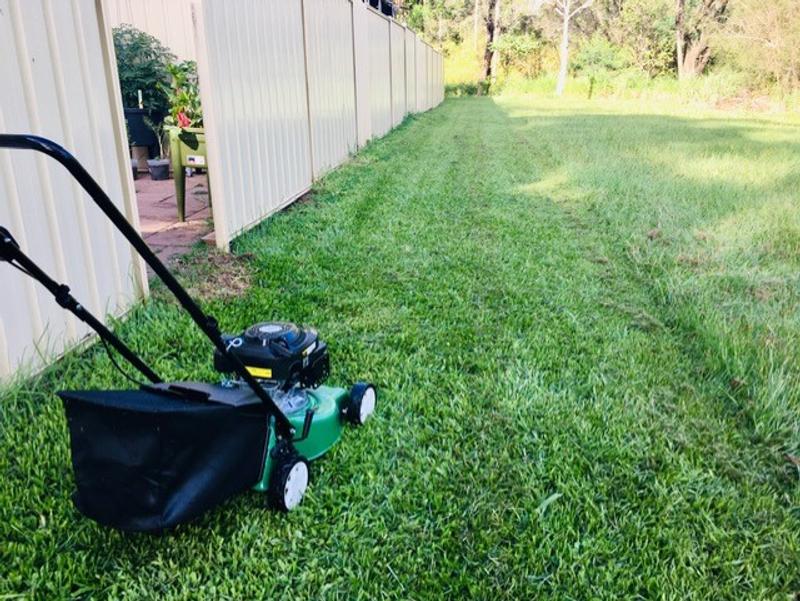 Cheetah 16 lawn online mower review