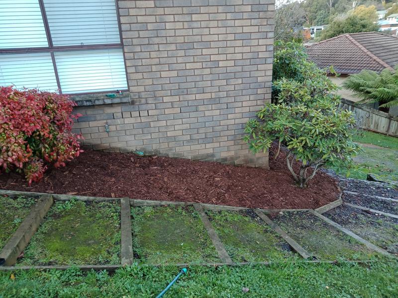 Bunnings Garden Mulch Fasci Garden