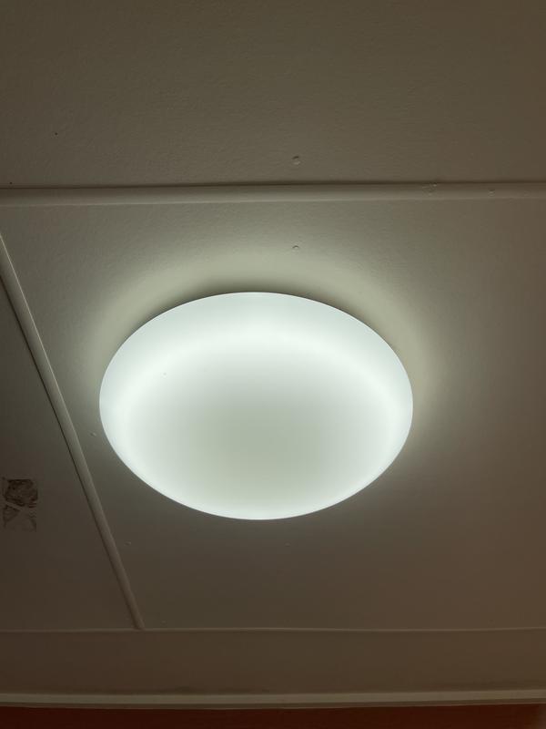 Round fluorescent on sale lights bunnings