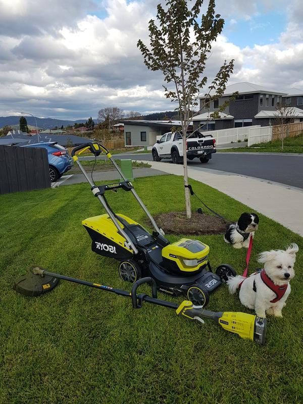 Ryobi 160cc 46cm self propelled lawn mower discount review