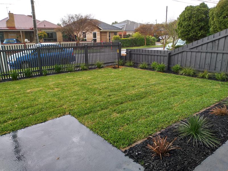 Buffalo grass outlet bunnings