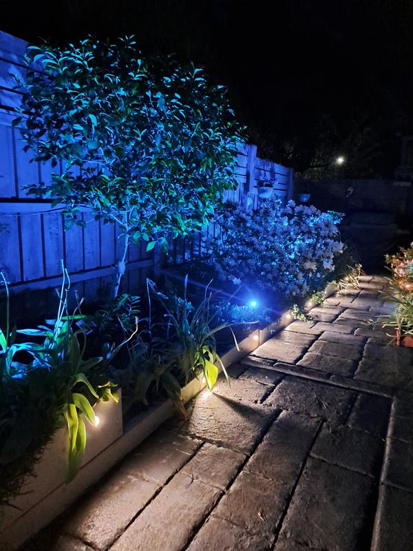 Holman garden 2024 lights bunnings