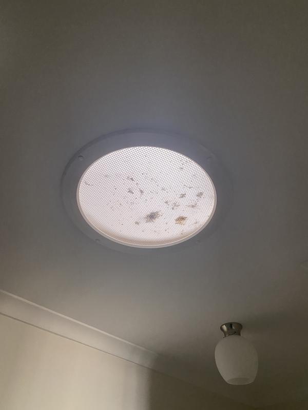 Bunnings sun deals tunnel