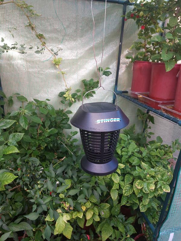 Solar powered deals bug zapper bunnings