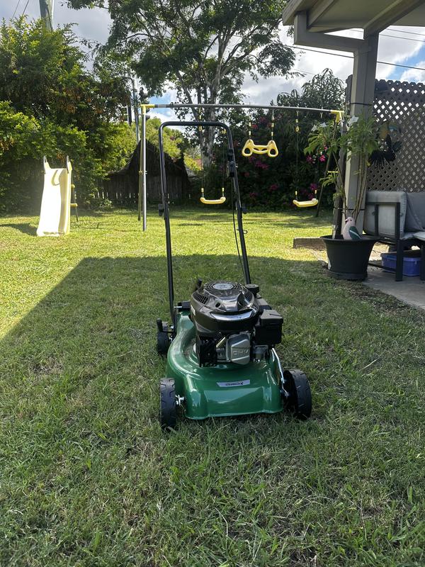 Bunnings cheetah lawn online mower