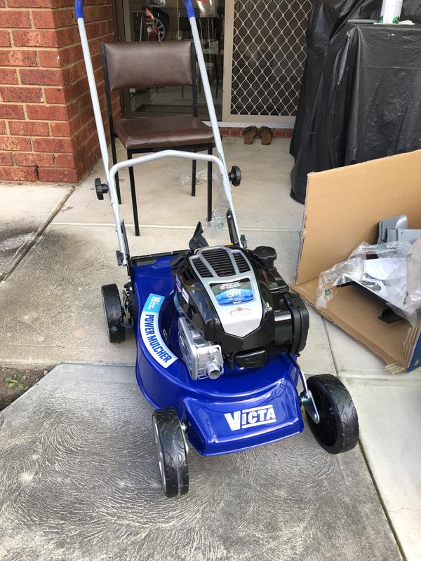 Bunnings petrol online mower