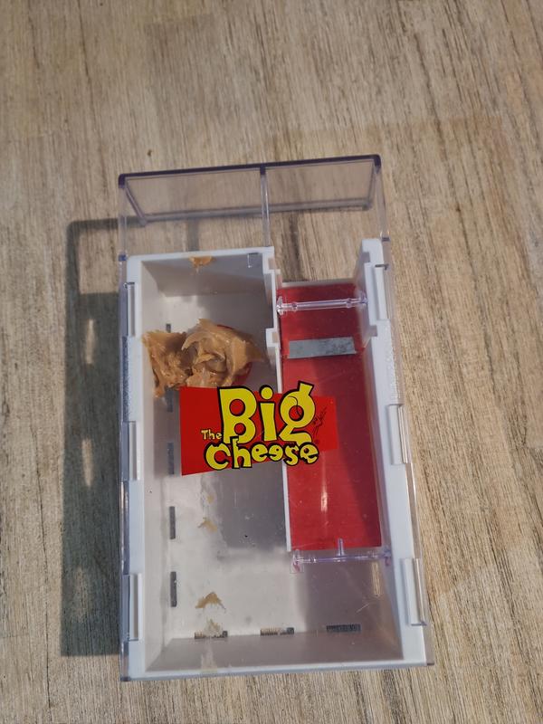 The Big Cheese Multi-Catch Mouse Trap - Bunnings Australia