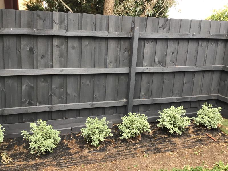 Walpamur 4l Charcoal Fence Finish