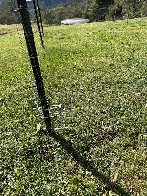 Bunnings dog fence wire best sale