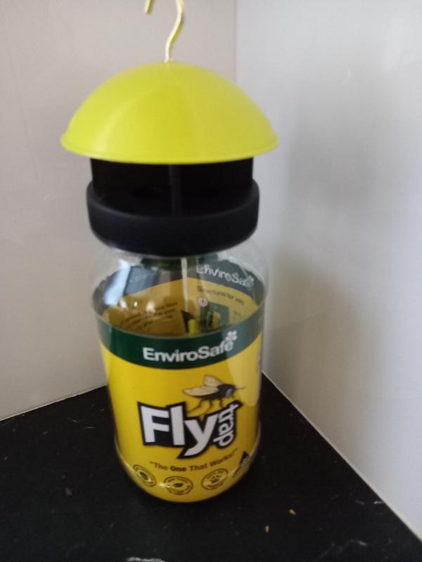 Fly catcher clearance bunnings