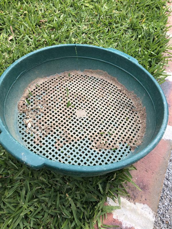 Garden Sieve Bunnings Fasci Garden