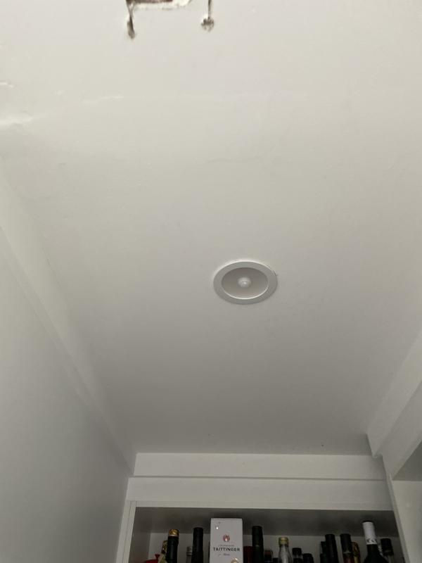 Motion sensor downlight deals bunnings