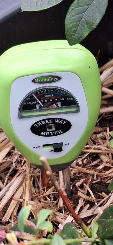 Bunnings wood deals moisture meter