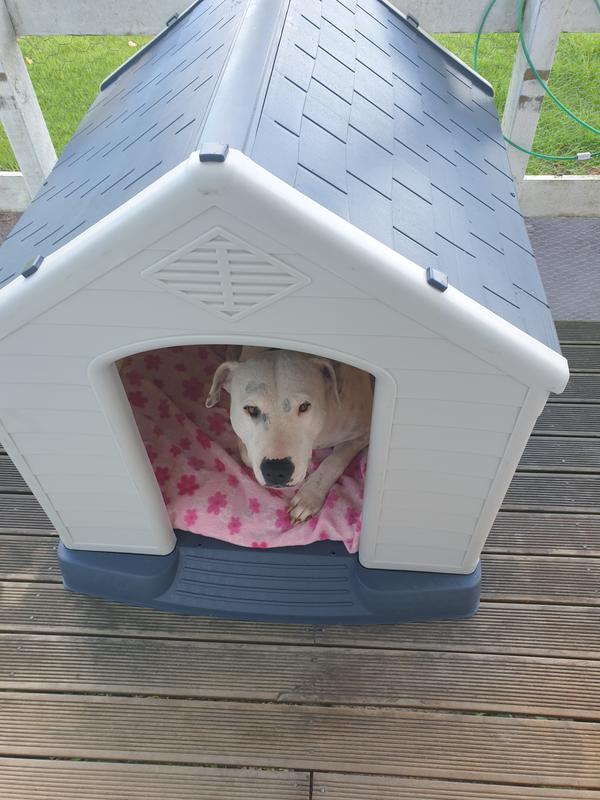 confidence pet waterproof plastic dog kennel