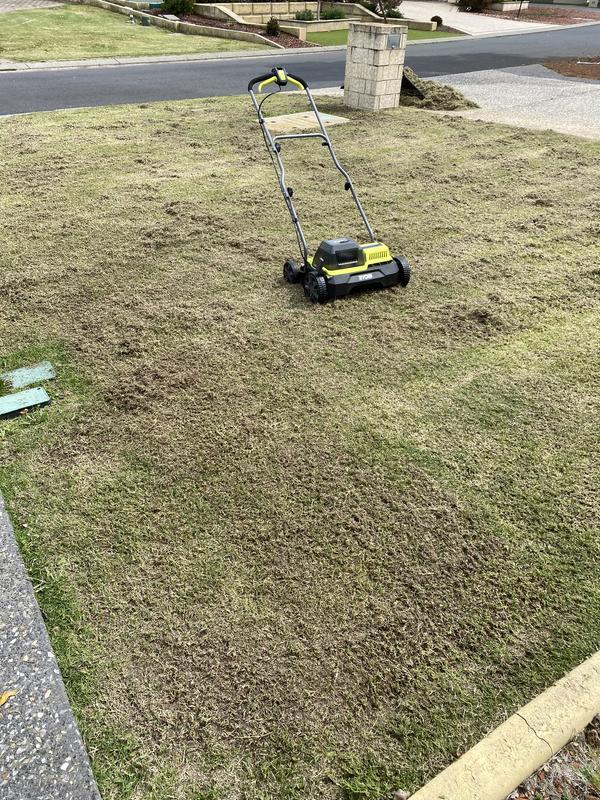 Dethatching machine bunnings new arrivals