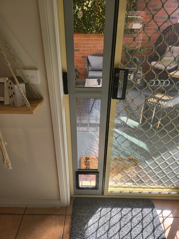 Dog door in outlet glass bunnings