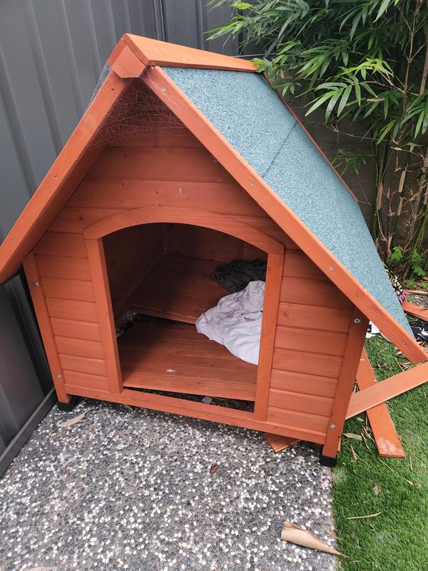 Bunnings dog best sale kennel review