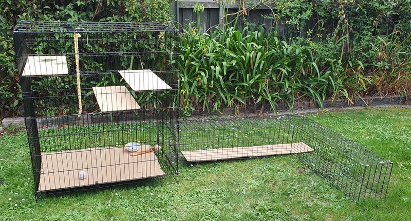 Cat enclosure netting bunnings hotsell