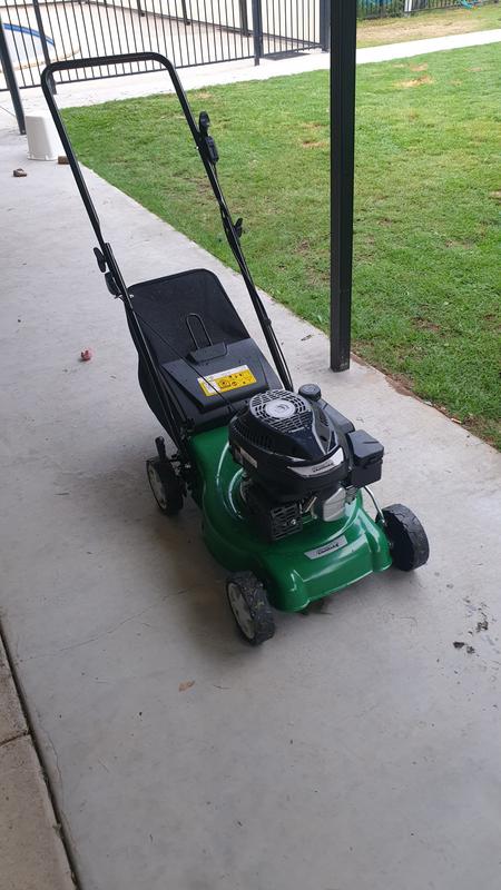 Cheetah 16 127cc Cut And Catch Lawn Mower Bunnings Australia