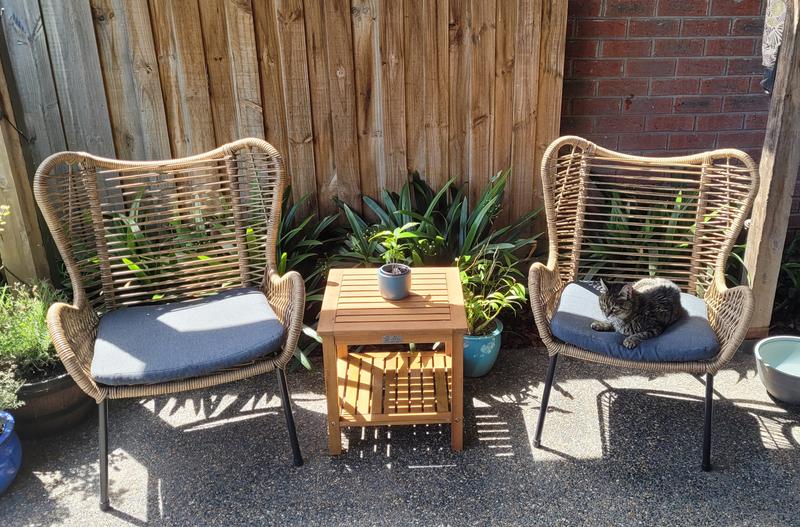 Bunnings mimosa butterfly discount chair