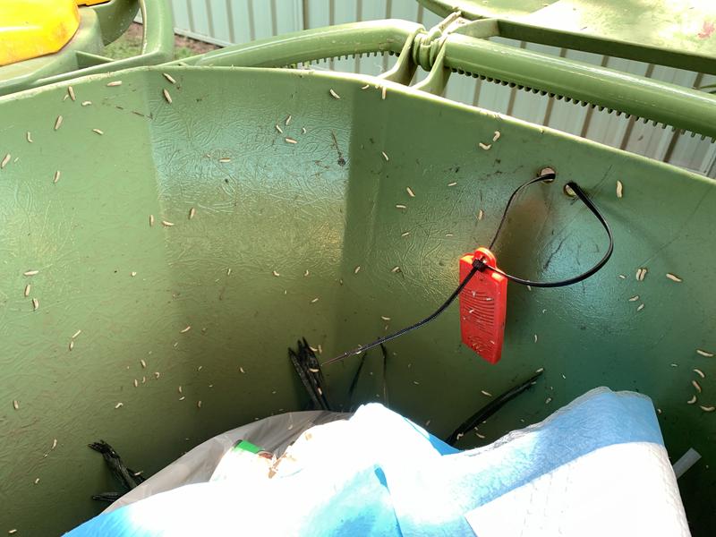 Bin Kill Fly Protector 10.5g Binkill Flies Maggots Bug Pest Garden 