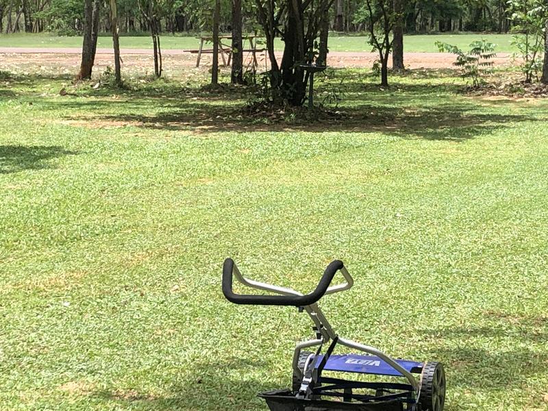 Victa 16 razor discount cut push mower review