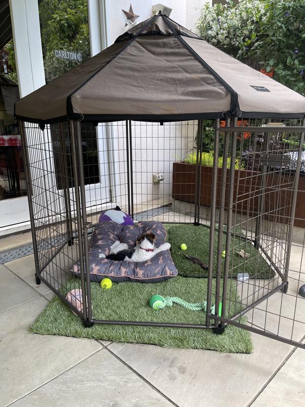 Outdoor dog outlet gazebo