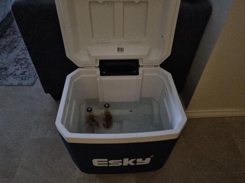 52l esky hot sale