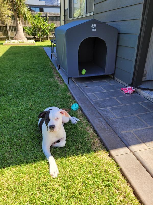 Canvas dog kennel clearance kmart