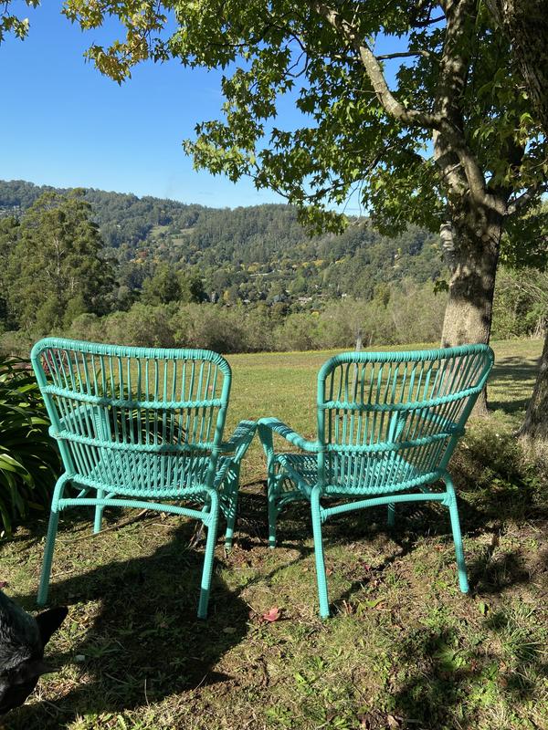 Bayfield dining best sale chair bunnings