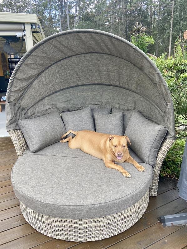 Mimosa daybed store bunnings