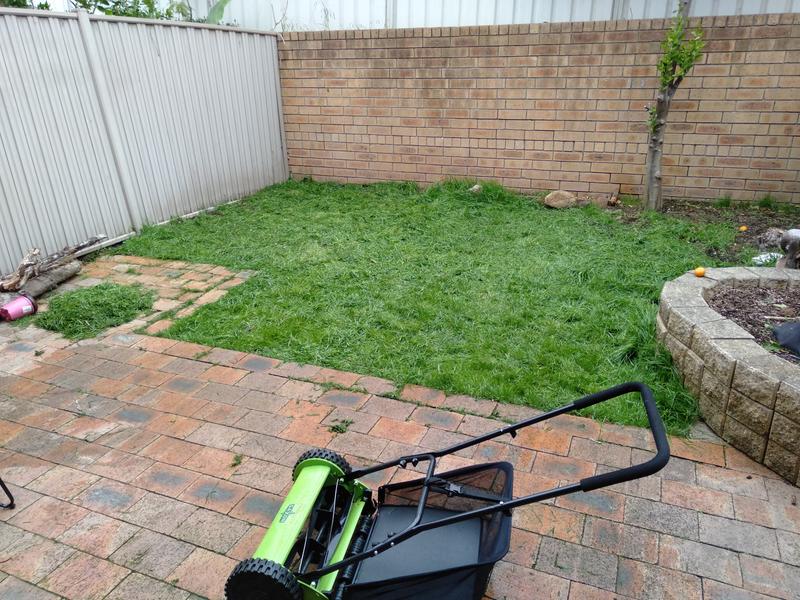 Another push reel mower thread